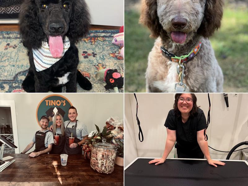 Tino’s Pet Grooming