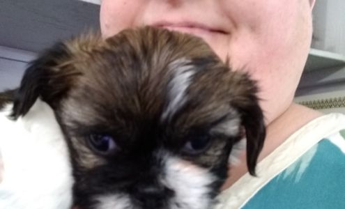 Dog House 1594 Monticello St NE, Brookhaven Mississippi 39601