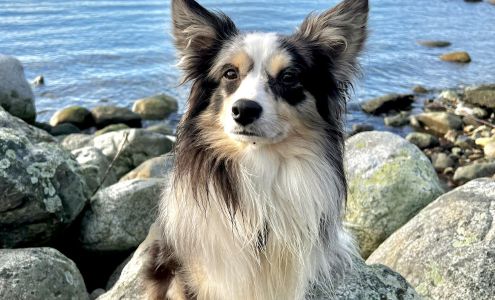 Westview Veterinary Hospital