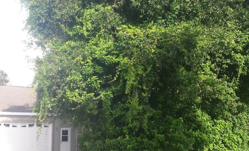 Twin Blades Lawn Care