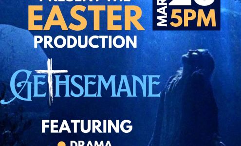 Emmanuel Seventh Day Adventist Chicago Heights