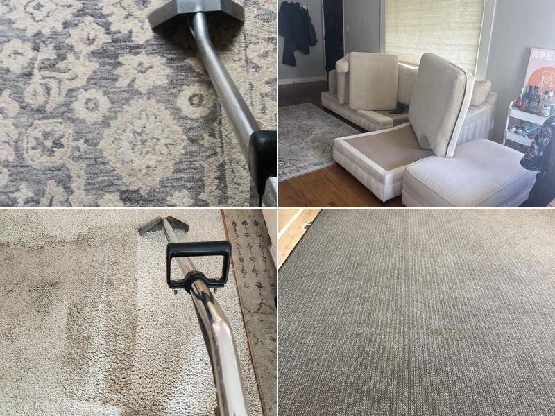 Max Carpet and upholstery cleaning