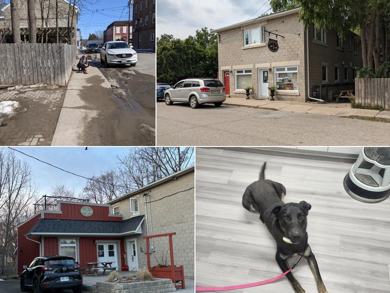 Merrickville Veterinary Services