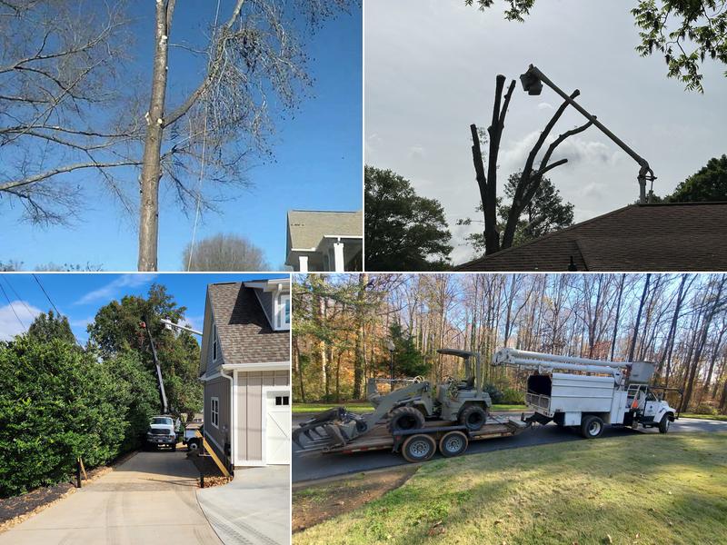 Owen's Tree Services