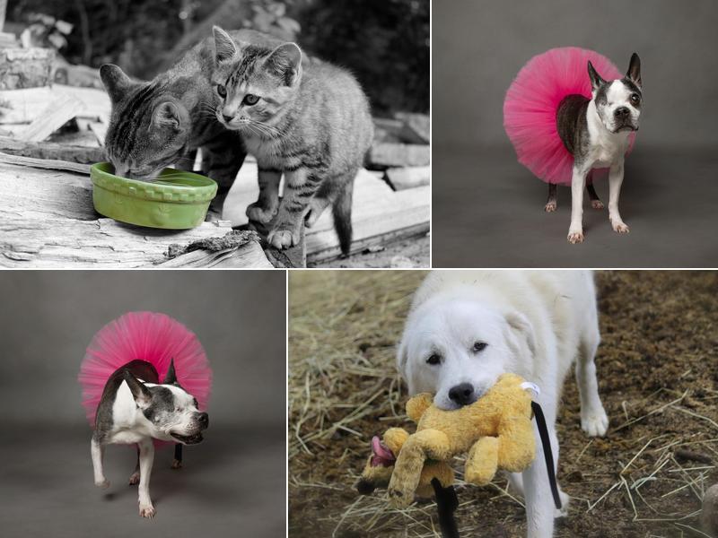 Ochando Photography and Videography