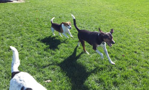 Springwater Pet Resort