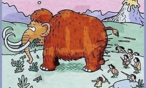 Griffin Pain Relief Clinic(Acupuncture & Massage Therapy) 2 Herald Ave, Corner Brook Newfoundland and Labrador A2H 4B5