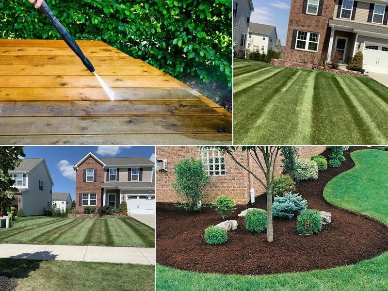 Next Level Lawn Care Services LLC