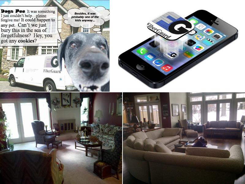 FiberGuard Carpet, Fabric, Rug Cleaning