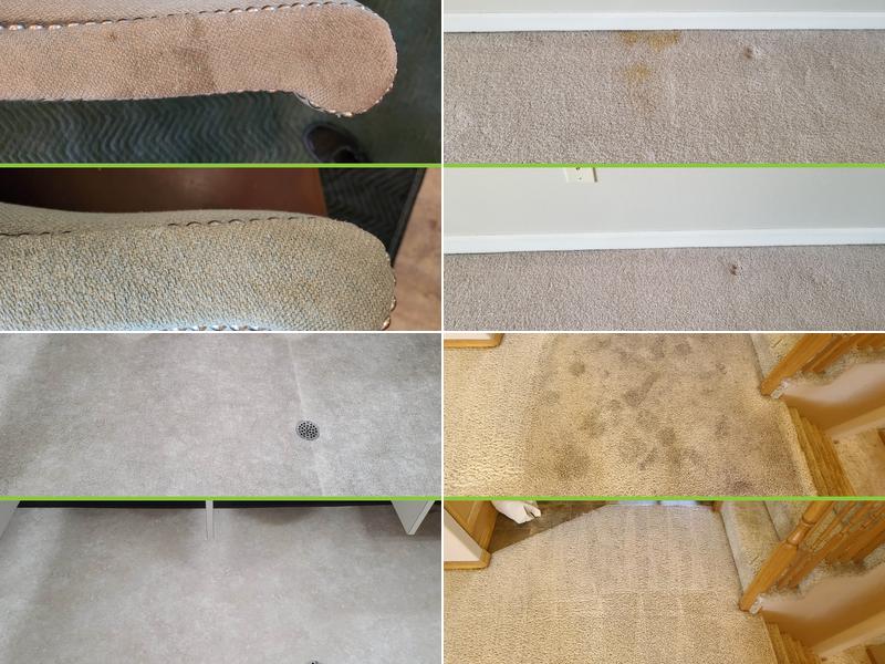 Crazy Clean Carpet Cleaning