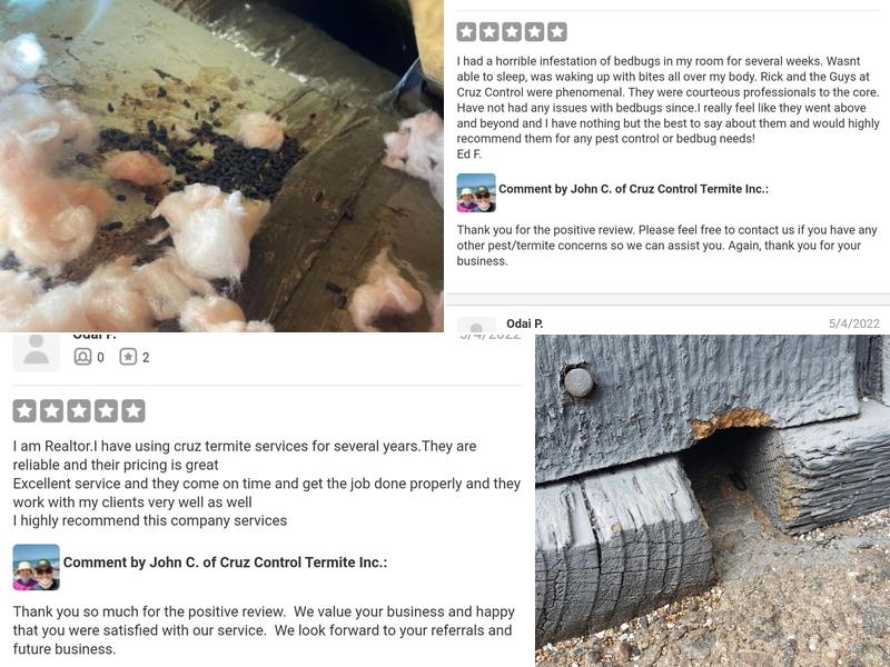 Cruz Control Termite Co