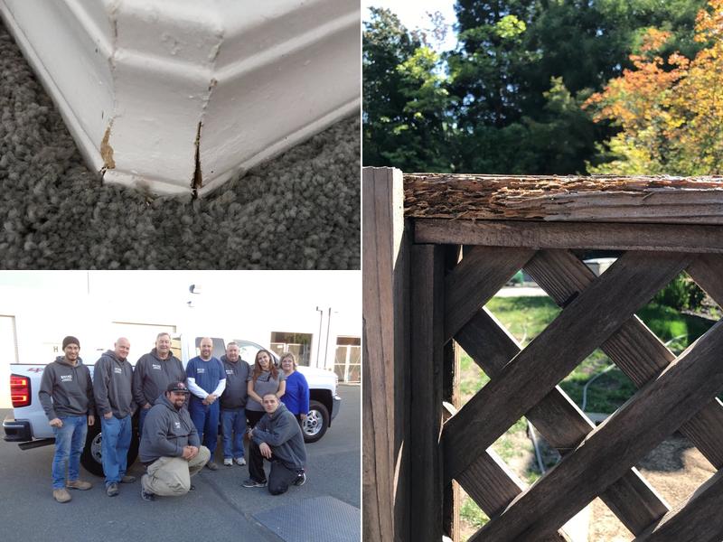 Wallace Termite & Construction