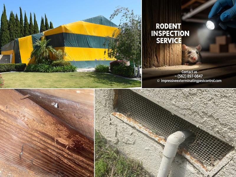 Impressive Exterminating Pest Control & Termite