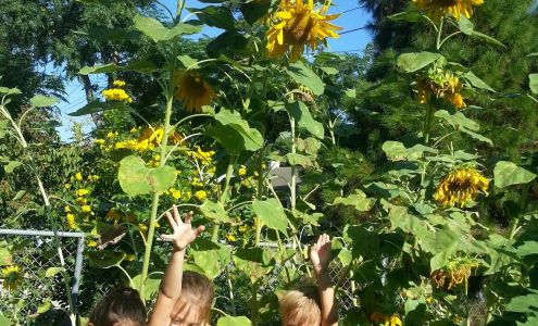 Emanuel's Lutheran Day School