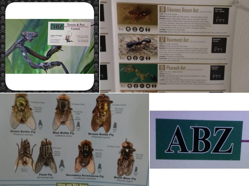 ABZ Pest Control Services, Inc.