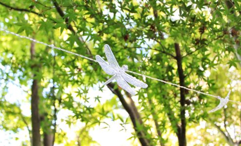 Enchanted Play Infant & Preschool Center