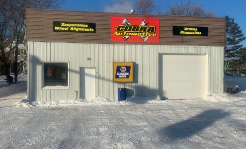 Cobra Automotive Blumenort