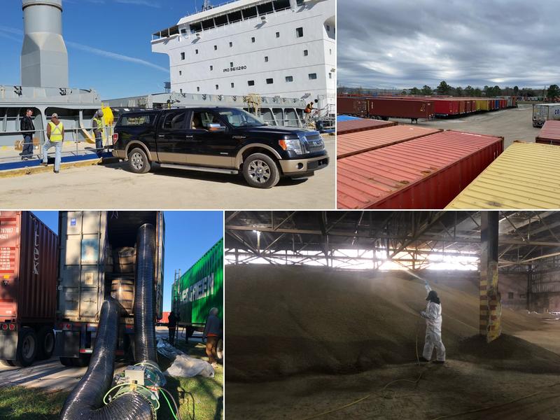 Ultimate Pest Control