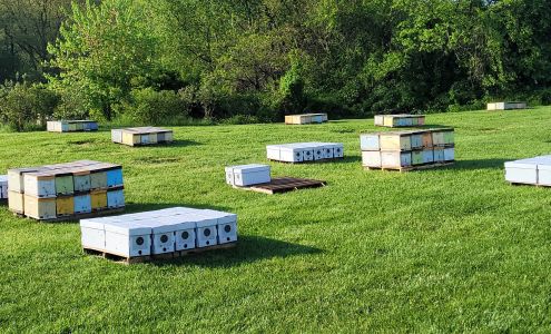 Snyder's Apiaries White Hall