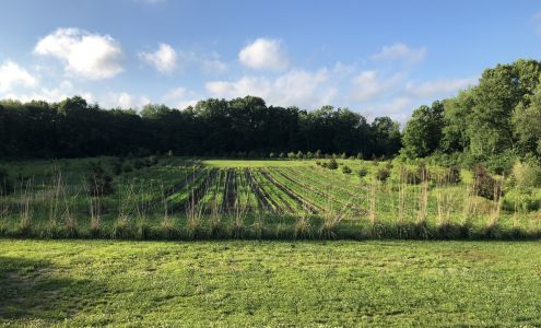 Five 2 Outdoors Jones