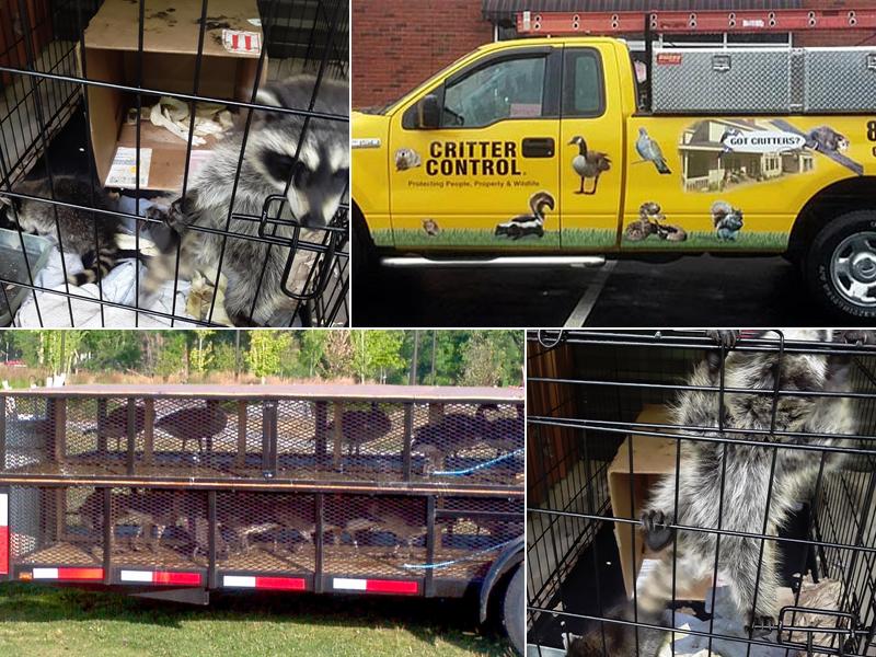 Critter Control of North Central Indiana