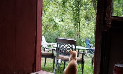 Raven Hollow Ranch 1305 NY-30A, Sloansville New York 12160