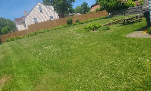Mike's Lawn Maintenance