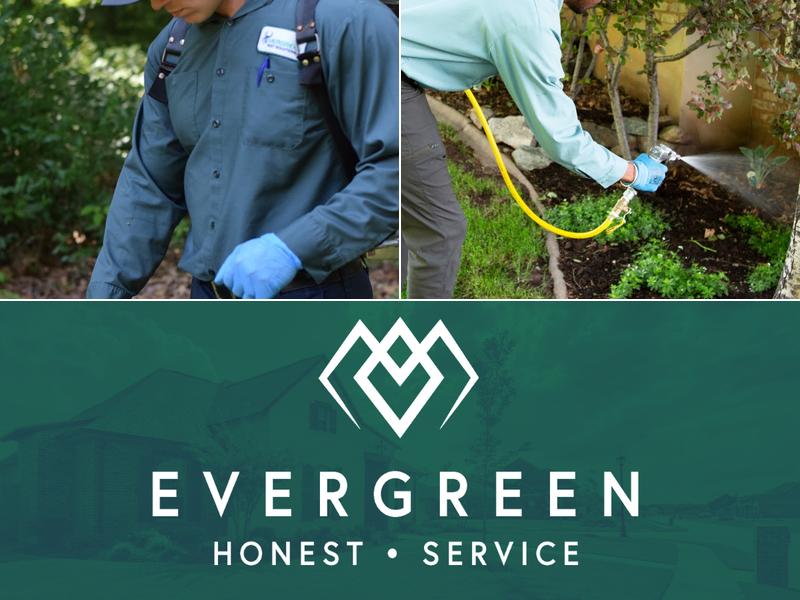 Evergreen Pest Solutions