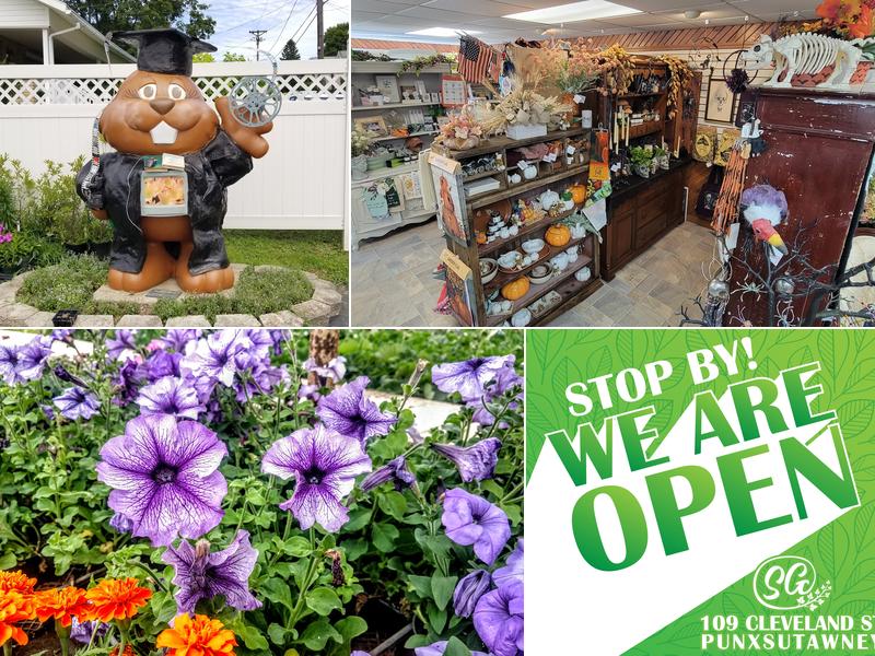 Steve's Greenhouse & Florist