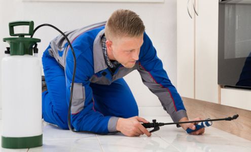 Good Riddance Pest Control