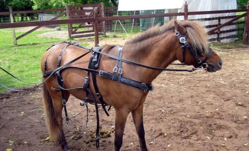 Gordon Family Farm and Sawmill Brushton
