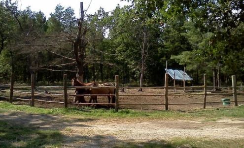 Oscoda Animal Resort 4254 Gagnon Trail, Oscoda Michigan 48750
