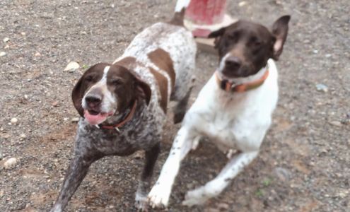 Countryside Boarding Kennels 11316 S Ellen Smith Rd, Solon Springs Wisconsin 54873