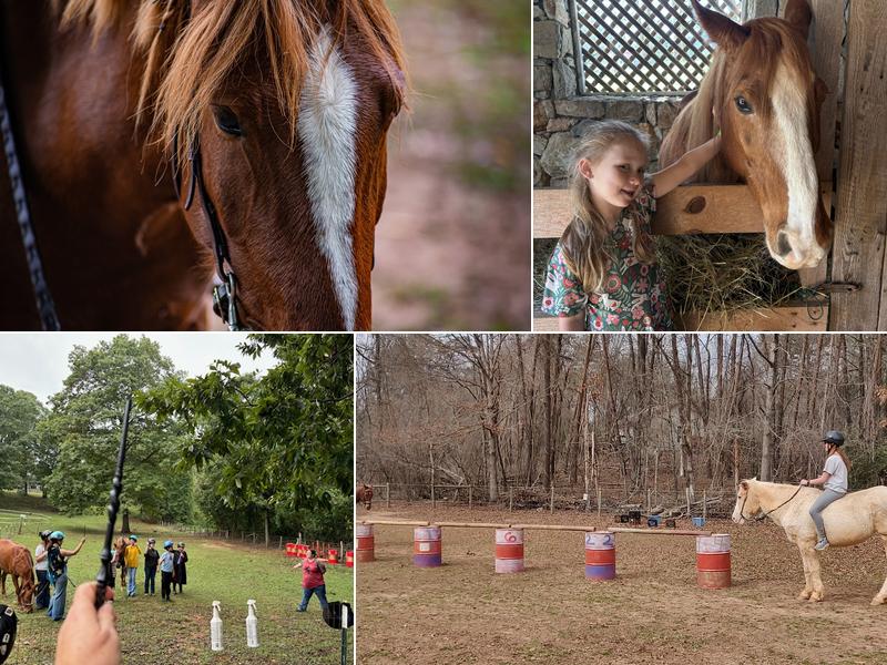 Cheyenne's Pride Riding Academy