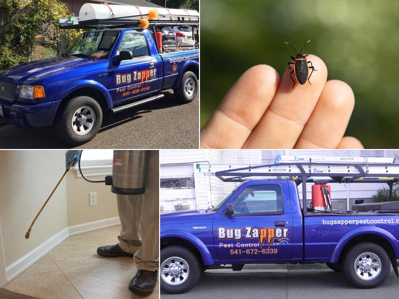 Bug Zapper Pest Control