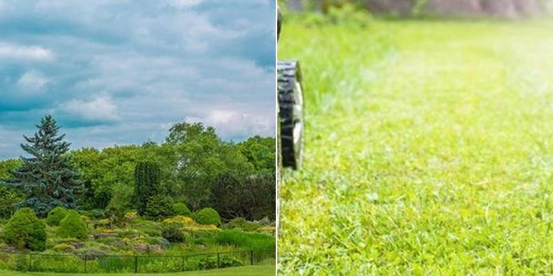 Berry's Spray Services