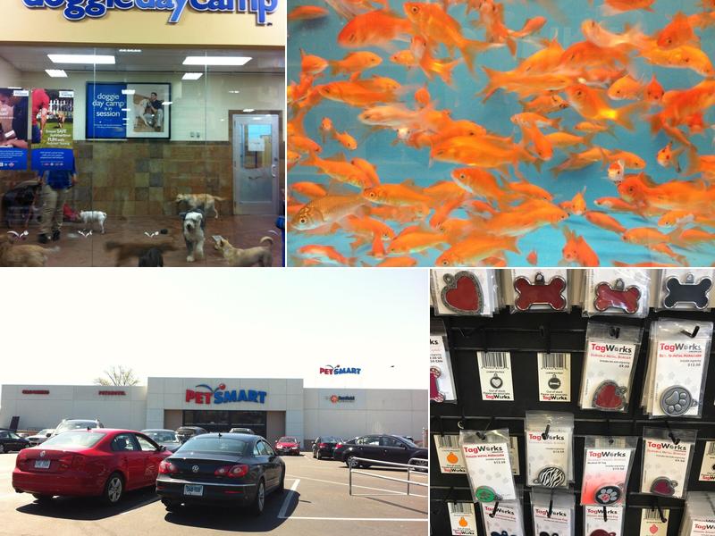 PetSmart Doggie Day Camp