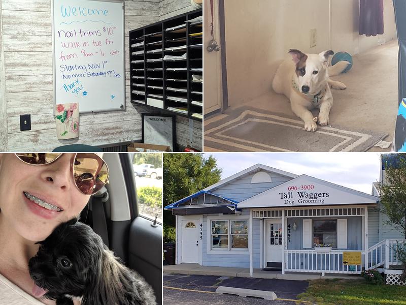 Tail Waggers Dog Grooming