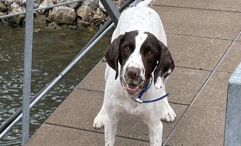 Midwest Kennel & Boarding