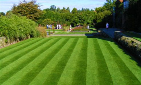 A Cut Above Property Service