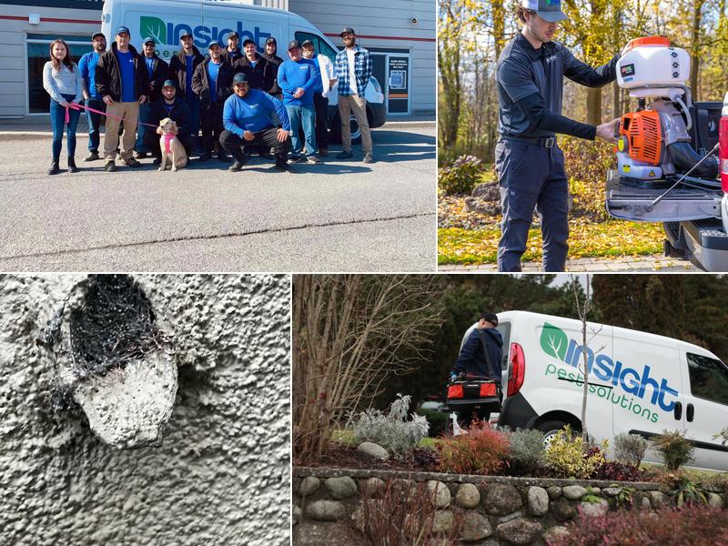 Insight Pest Solutions