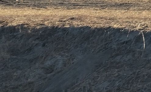 Church Brothers Farms