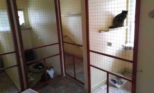 Valley Cat Hotel 1804 Hall Rd, Berwick Nova Scotia B0P 1E0