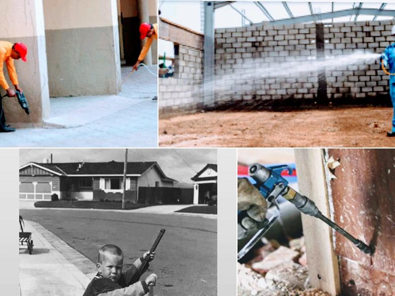 Bug King International