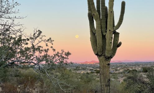 Mike Wicklund - AZ Mortgage Group LLC