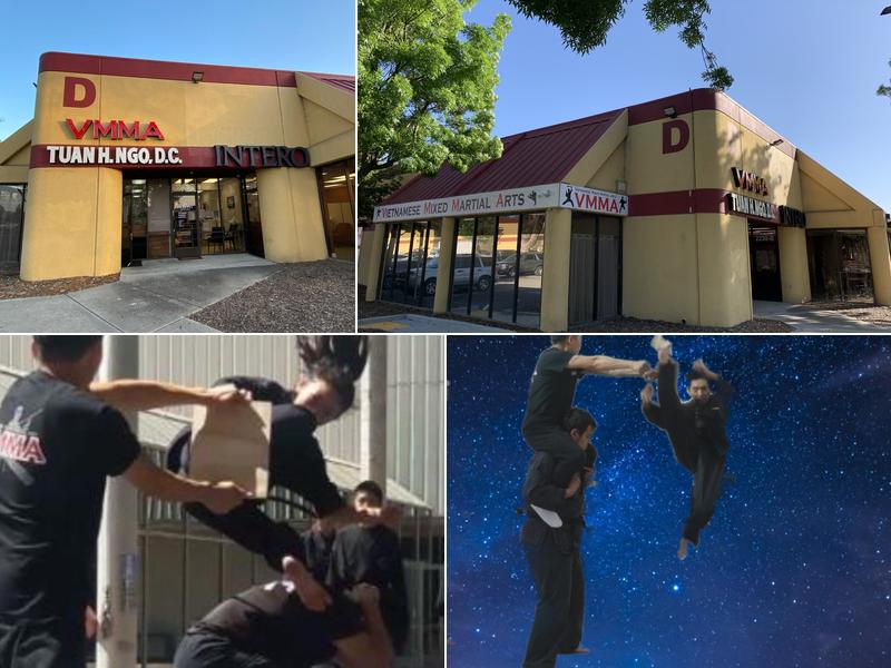 Vietnamese Mixed Martial Arts