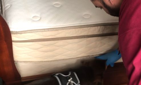 Best At Pest Exterminating