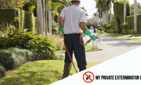 My Private Exterminator