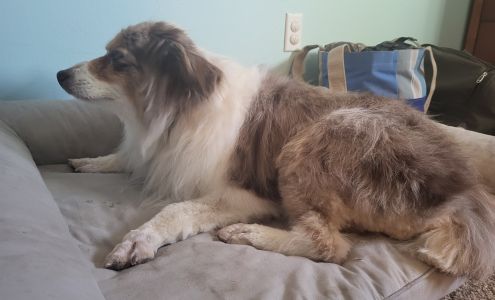 Coats & Tails 27512 US-160, Cortez Colorado 81321