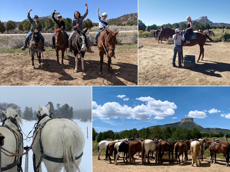 Four Corners Horseback Adventures